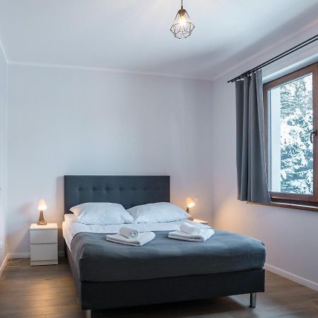 Aston -Domek Przy Lesie, Przestronny, Apartamenty 卡尔帕奇 外观 照片